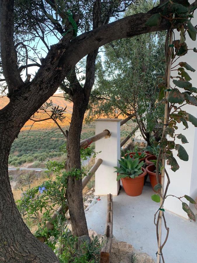 Penzion Cortijo Samadhi Lanjarón Exteriér fotografie