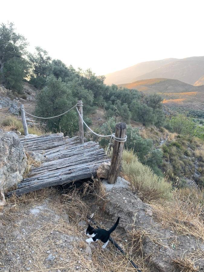Penzion Cortijo Samadhi Lanjarón Exteriér fotografie